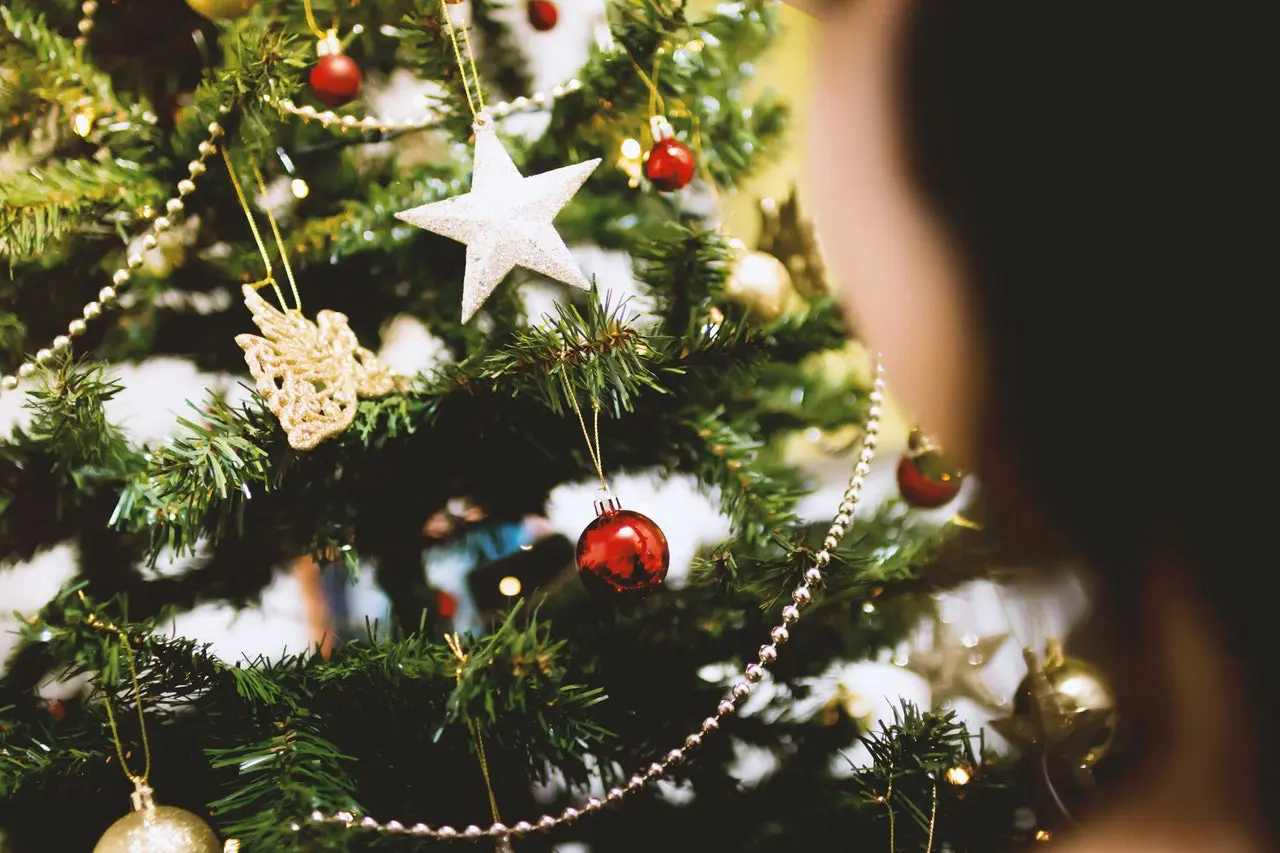 Decorative holiday image